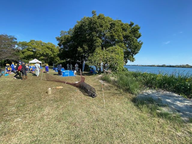 IMG_0300.jpeg
