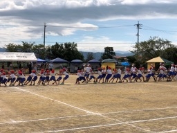 IMG_6492.jpg
