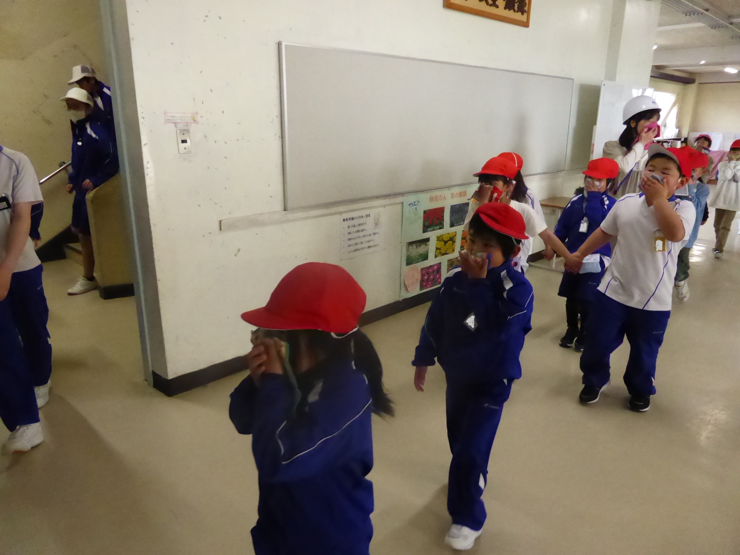 P1040819-1.jpg