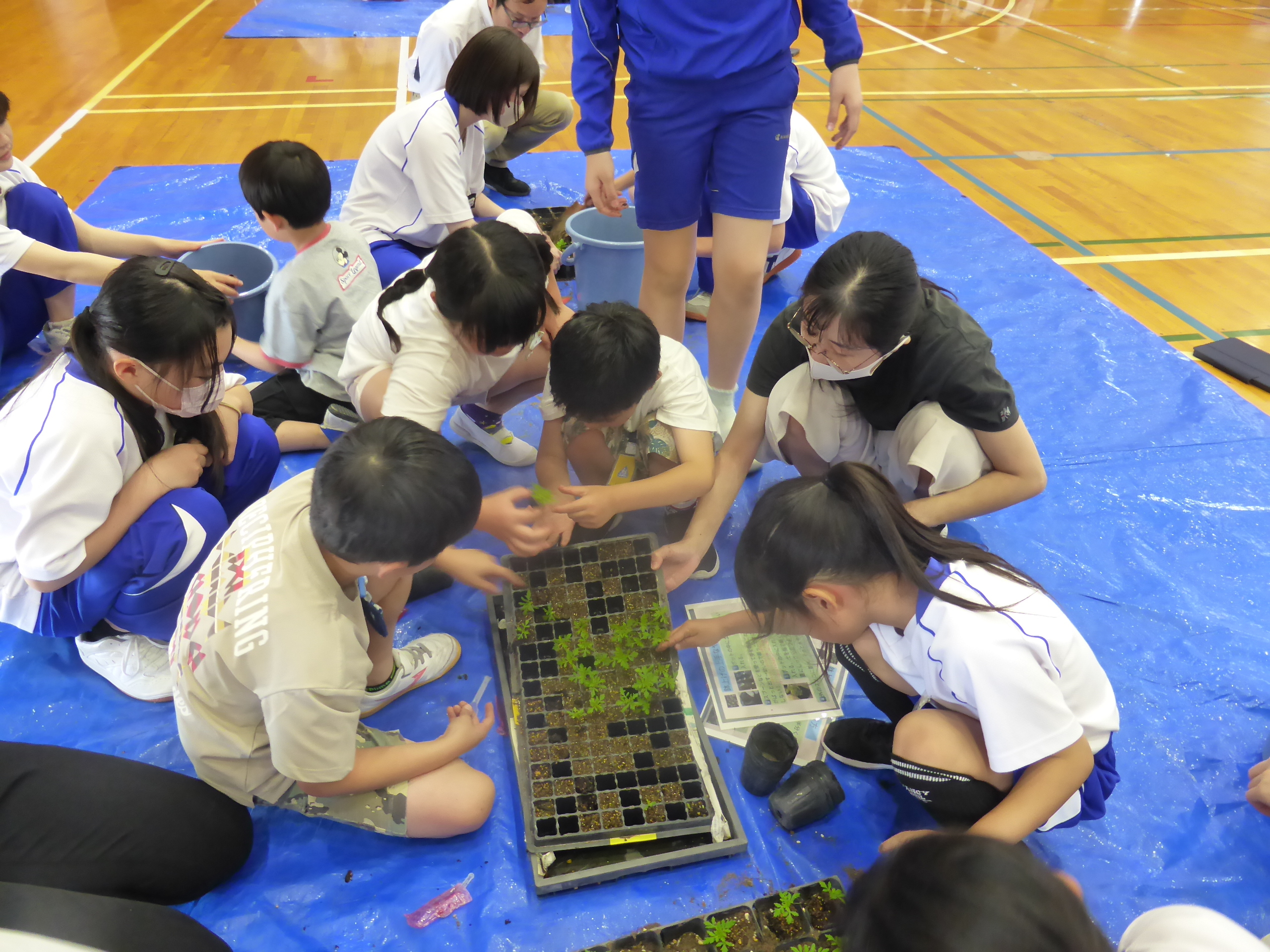 P1050043.JPG