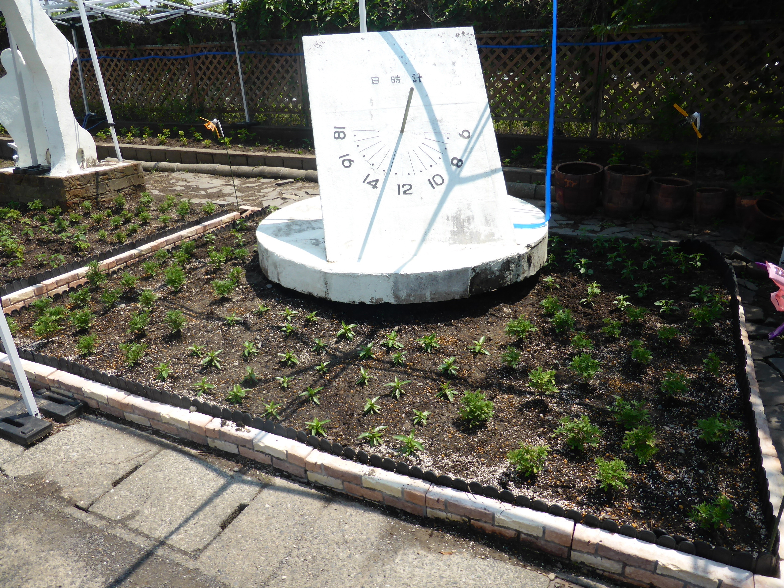 P1050241.JPG