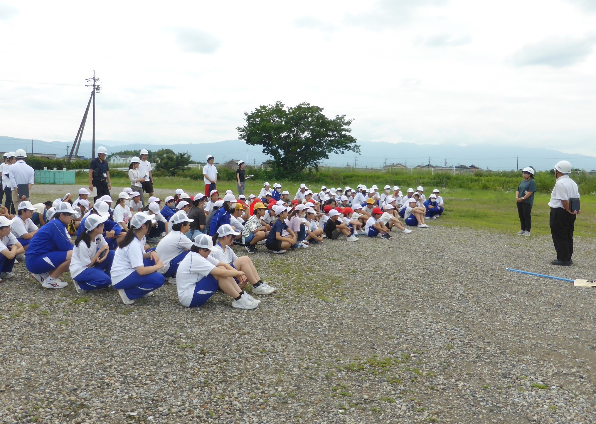 P1050287-1.jpg