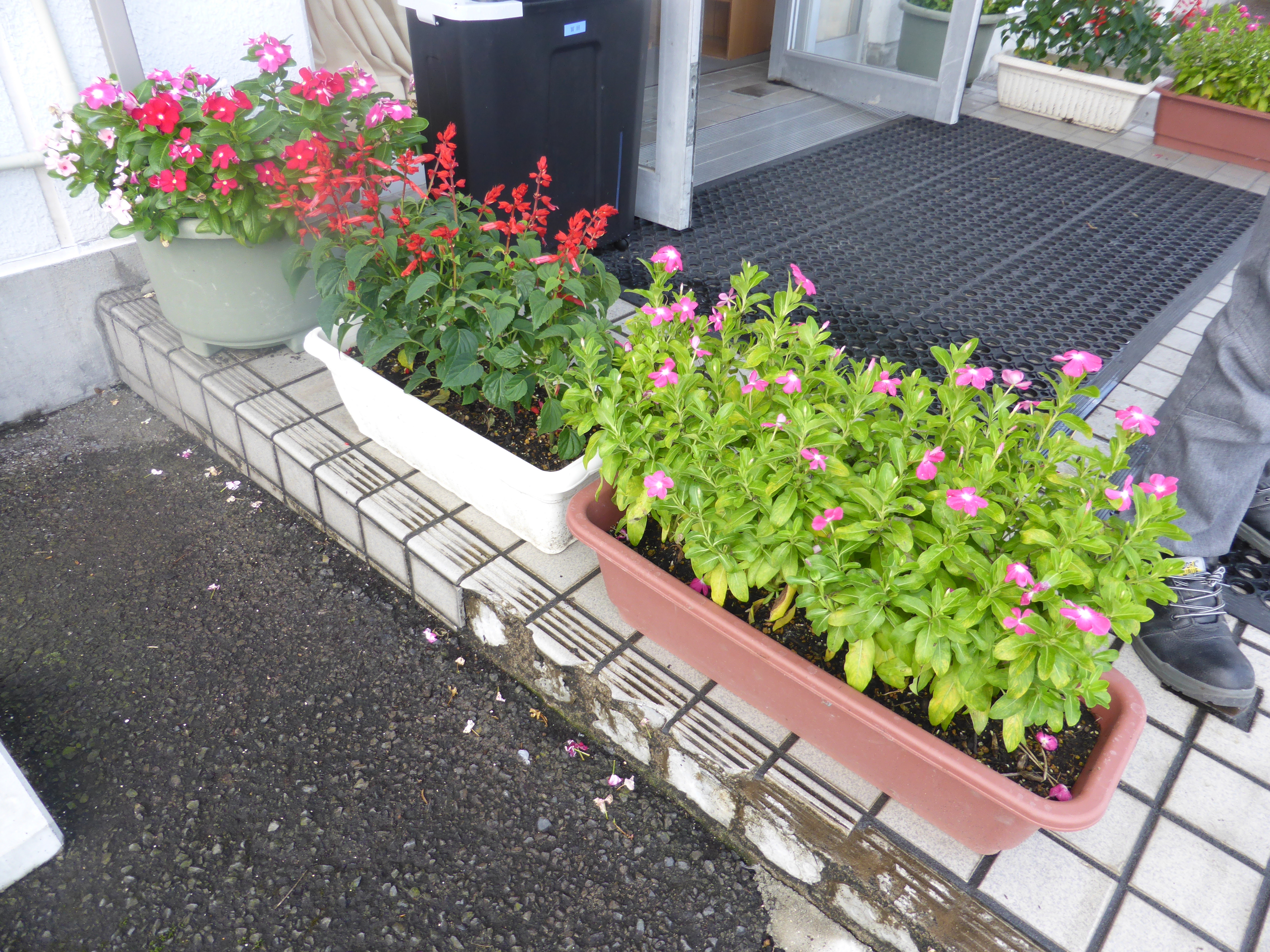 P1050414.JPG