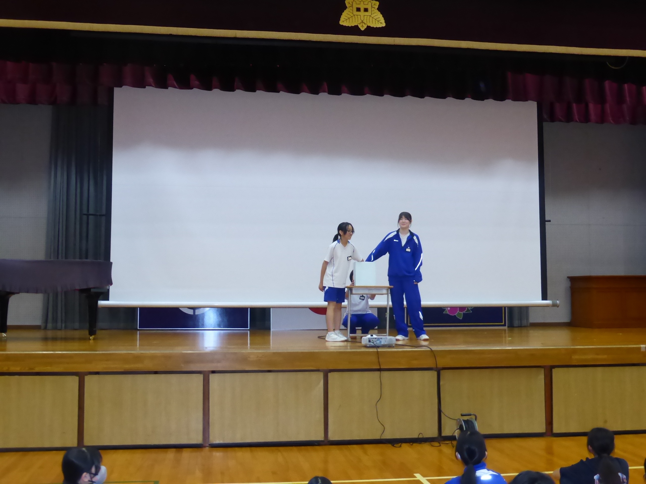 P1050688-1.jpg