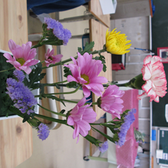 クラブ活動最終日