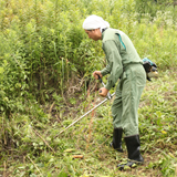 草刈り作業
