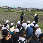 田植え体験を実施5年生