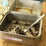 給食配膳と後片付け