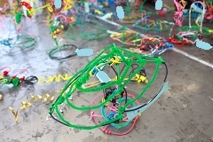 20240509-1.jpg