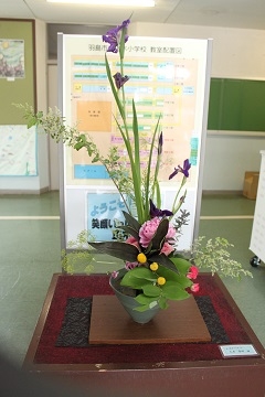 20240516-1.jpg