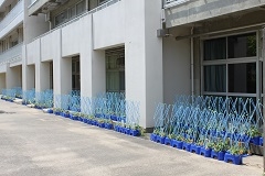 20240613.jpg