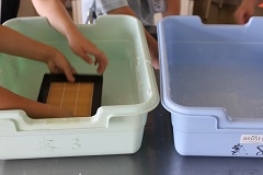 20240708-2.jpg