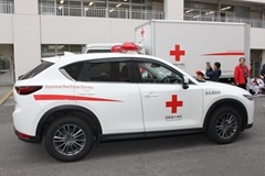 20250527-3.JPG