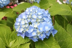 20240522-4.jpg