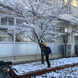 雪遊びがしたい・・・