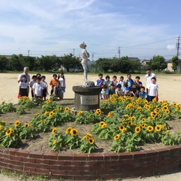 M garden