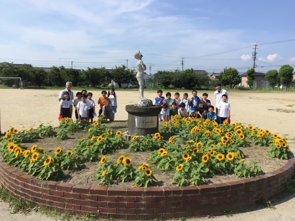 M garden.jpg