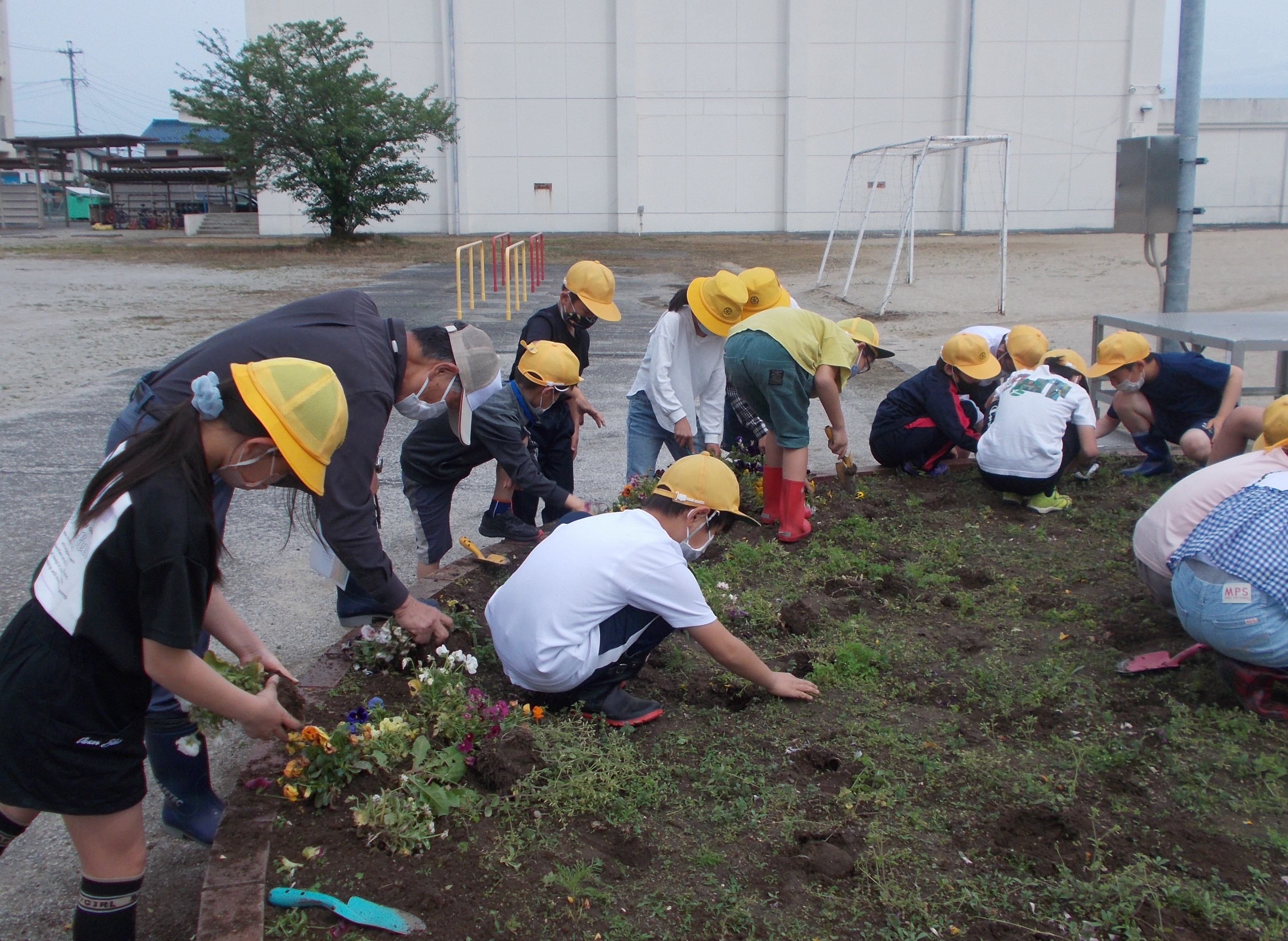 円形花壇の手入れ 中島小blog 羽島市立中島小学校