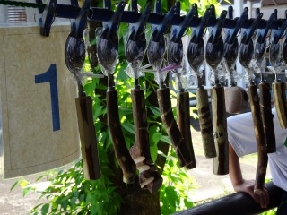DSC00707.jpg
