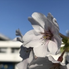 最初の一歩