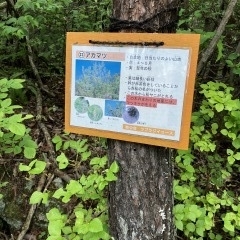 自然を愉しむ