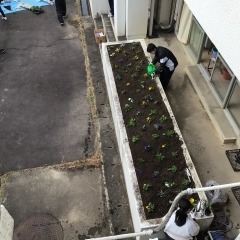 ３年生　愛校活動