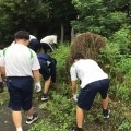 朝の草抜きボランティア活動できれいになりました。