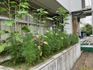IMG_9736.jpeg