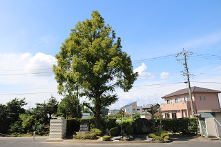20200930-1.png