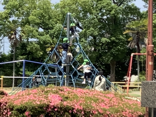IMG_9815.jpeg