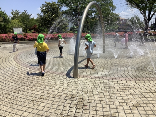 IMG_9821.jpeg