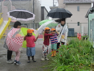 00雨.JPG