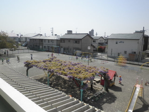 ４藤１.JPG