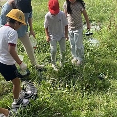 虫取りをする竹小っ子