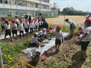 IMG_2227.jpg