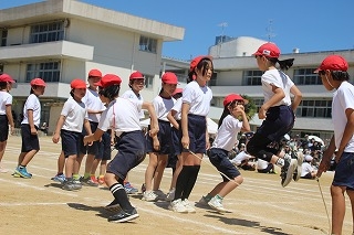 IMG_3531.jpg