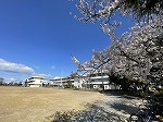IMG_4340.jpg