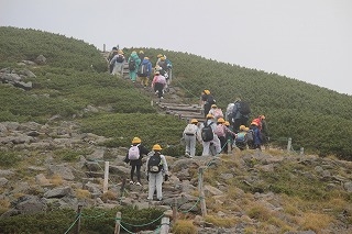 IMG_4457.jpg