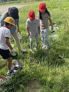 IMG_6122.jpg