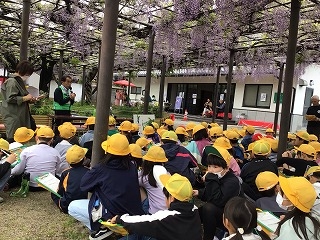 ふじ３.jpg